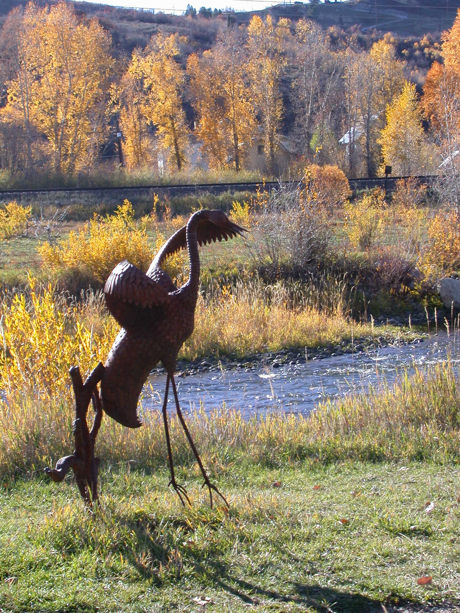 dancing crane 10.02.JPG